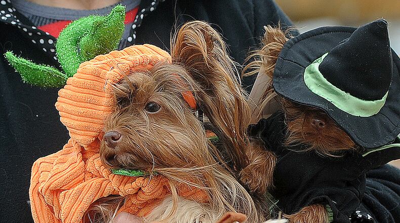 Spring Hills Middletown Assisted Living will welcome pets dressed in costume during its annual Halloween and PawFest celebration on Oct. 25. STAFF FILE PHOTO