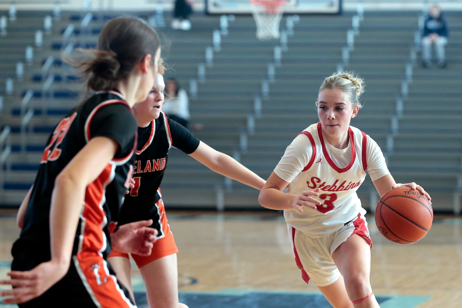 Stebbins Loveland basketball