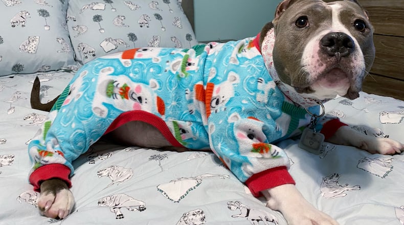 Bon Bon in her teddy bear pj's ready for bed. SHANNON GEILENFELDT