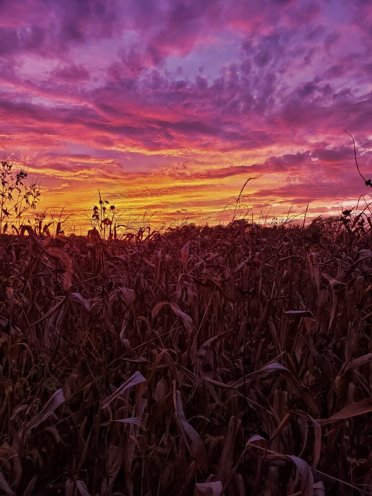 Fall colors October 2020