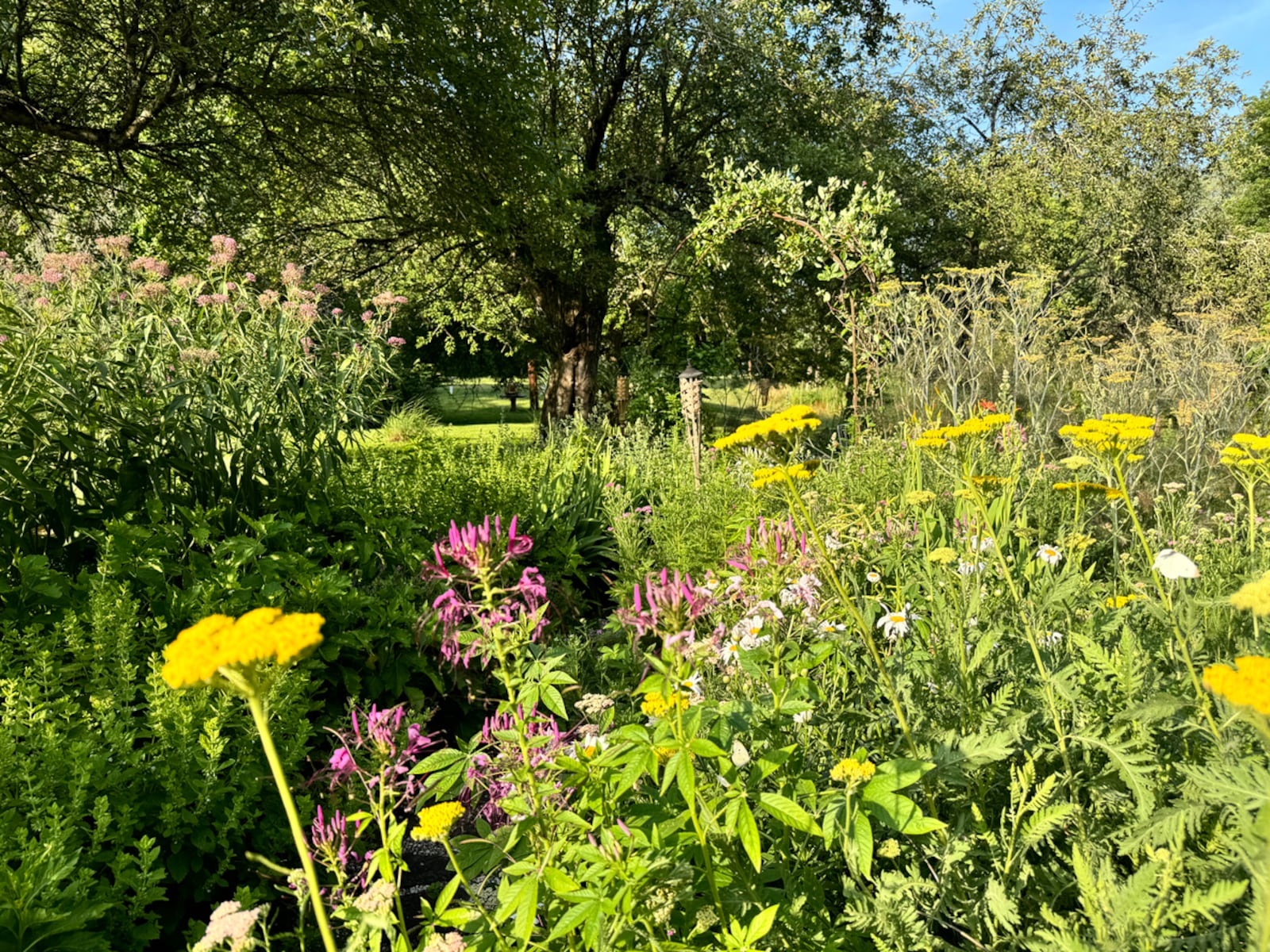 Chaos gardening isn’t the same as ecological restoration, pollinator meadow planting or native prairie establishment. Unlike chaos gardening, all of these techniques rely on careful species selection, site prep and long-term management. ISTOCK