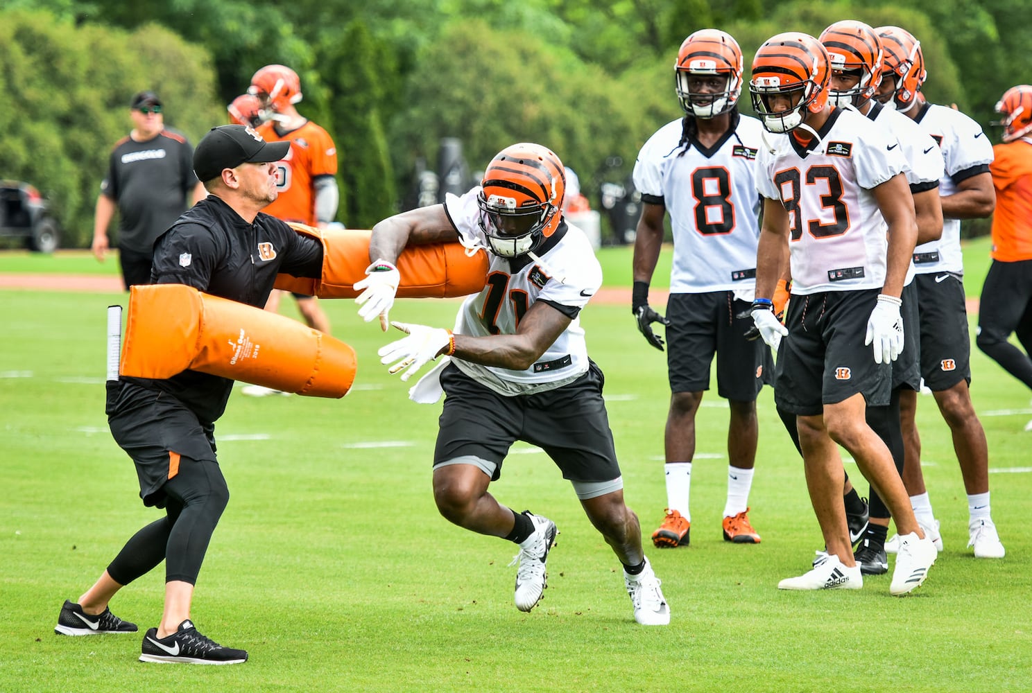 Cincinnati Bengals OTA
