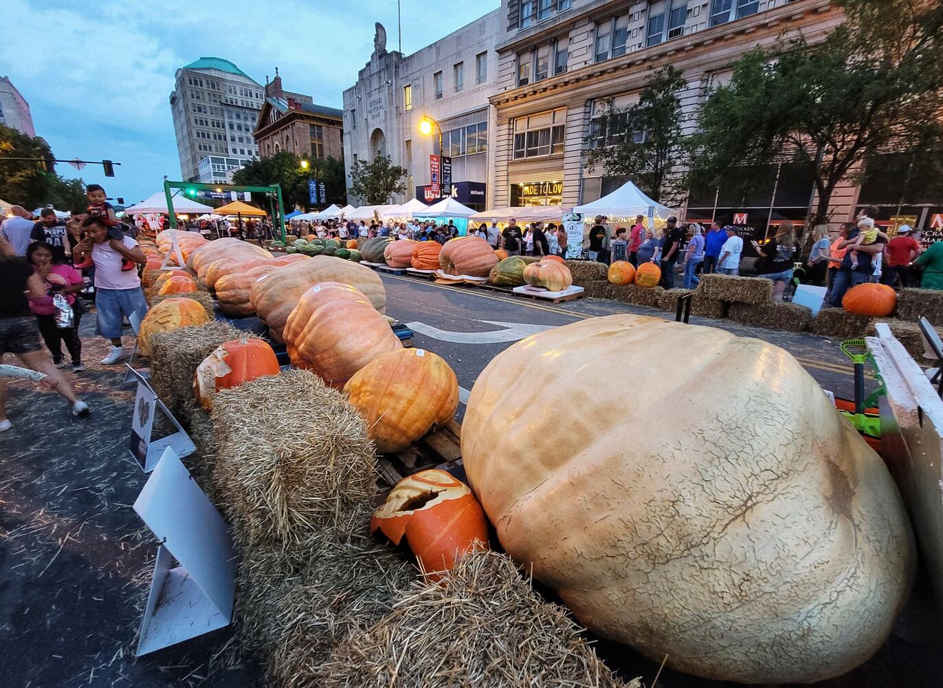 100921 Operation Pumpkin Hamilton