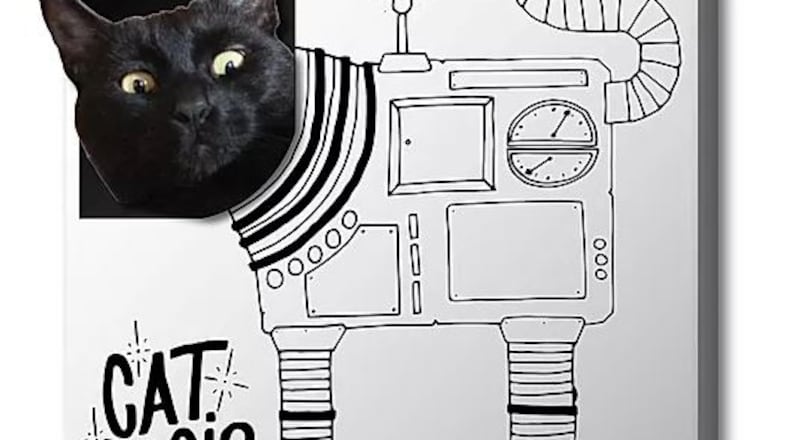 Brian Johnson, a local marketer and event promoter, has launched Cat Magic Box.  Wayne.Lily's owner  Emily Mendenhall's cat, models.