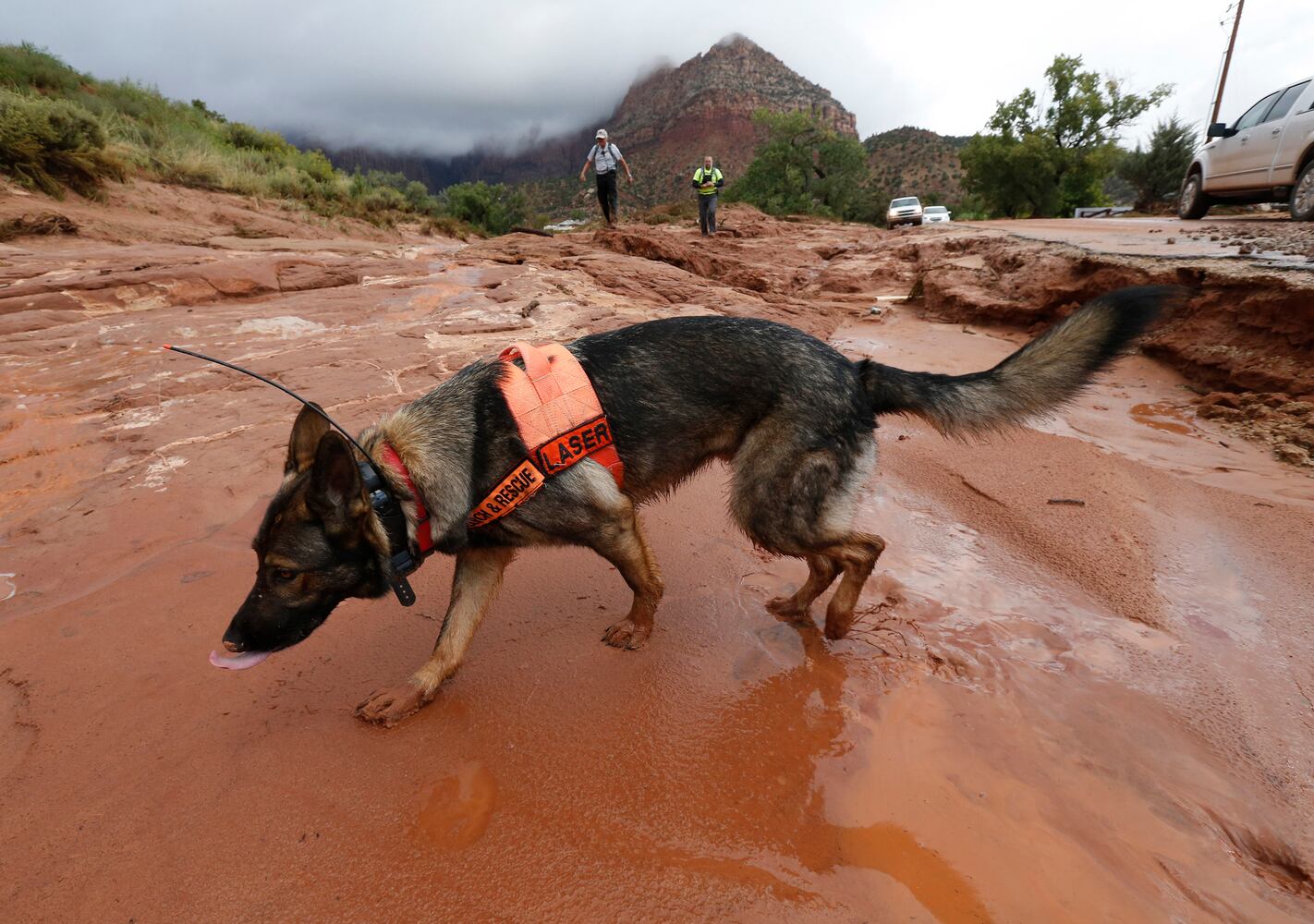 News hounds (9/17/15)