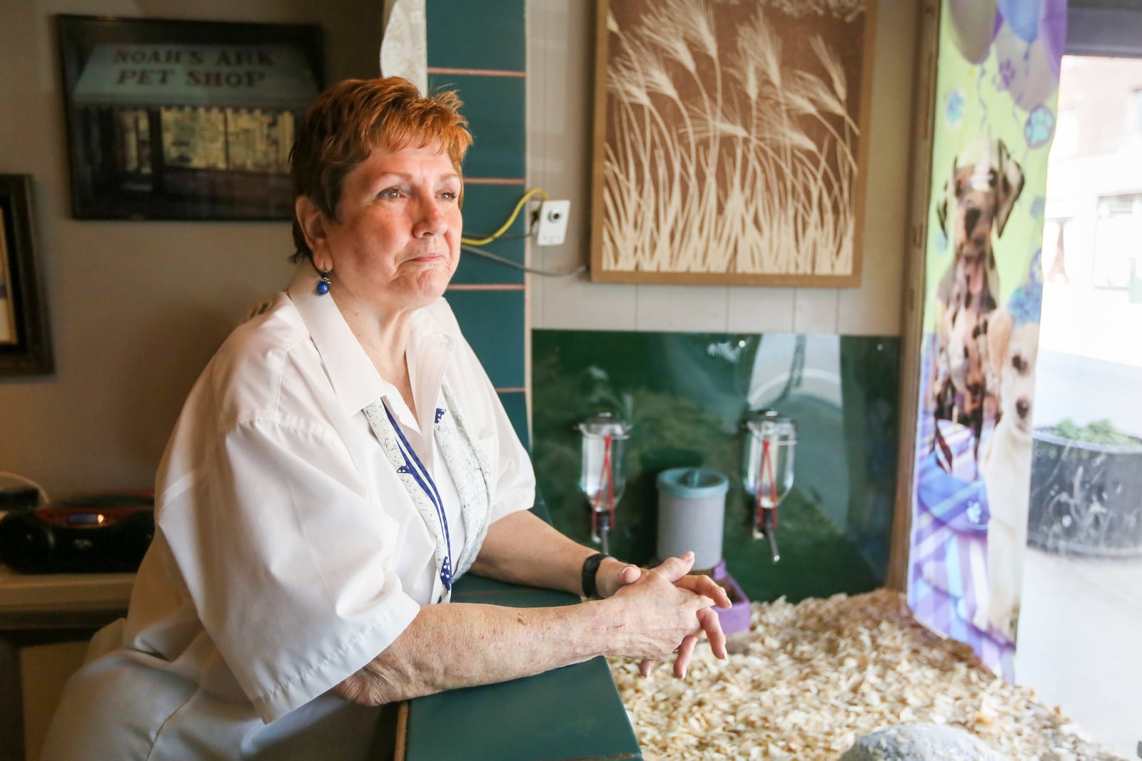 Cheryl Dalton is celebrating 30 years as a Hamilton business owner this year. She started the business as Noah's Ark at 105 Main Street, moved to a West Side shopping center 18 months later but 20 years ago moved back to the same Main Street storefront and changed the name of the business to Cheri's Preferred Puppies. GREG LYNCH / STAFF