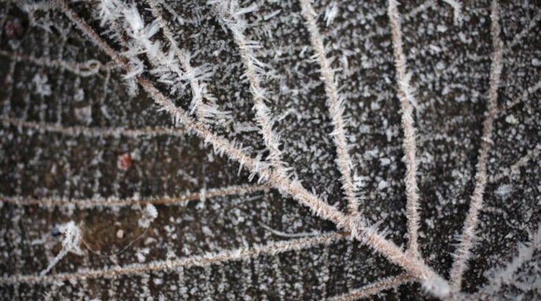 Photo by Christopher Furlong/Getty Images