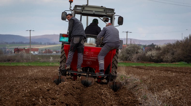 Farmers of Pestova firm on the back of a tractor plant potatoes in the village of Pestove, Kosovo on March 26, 2026. (AP Photo/Visar Kryeziu)