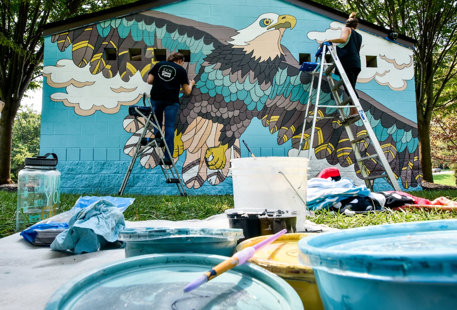 Murals add a splash of color to Hamilton buildings
