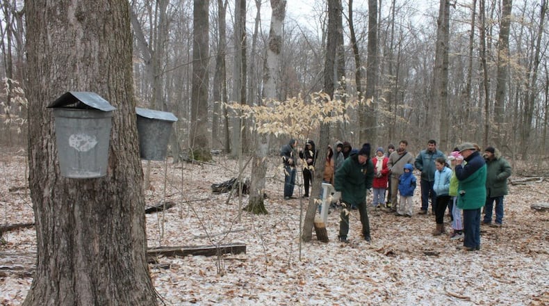 Hueston Woods hosts its 57th Annual Maple Syrup Festival on March 4-5, and again March 11-12. FILE