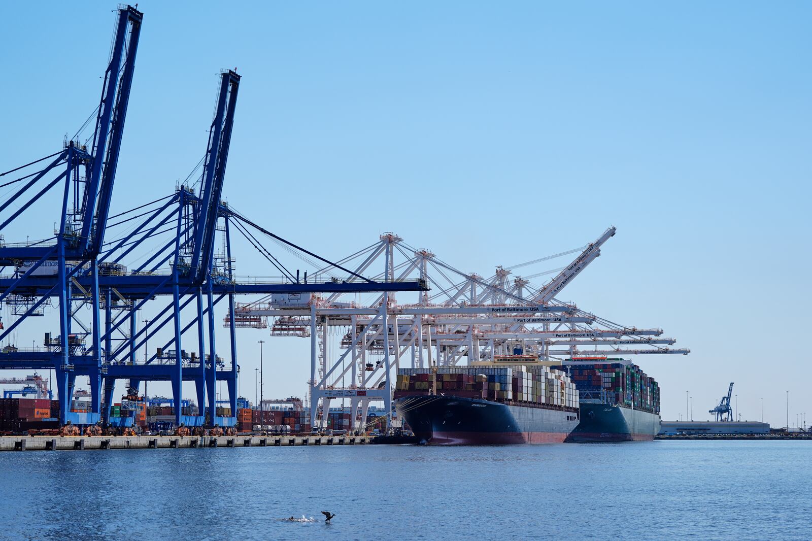 Container ships Epaminondas and Talos are docked at the Port of Baltimore, Wednesday, April 9, 2025, in Baltimore. (AP Photo/Stephanie Scarbrough)