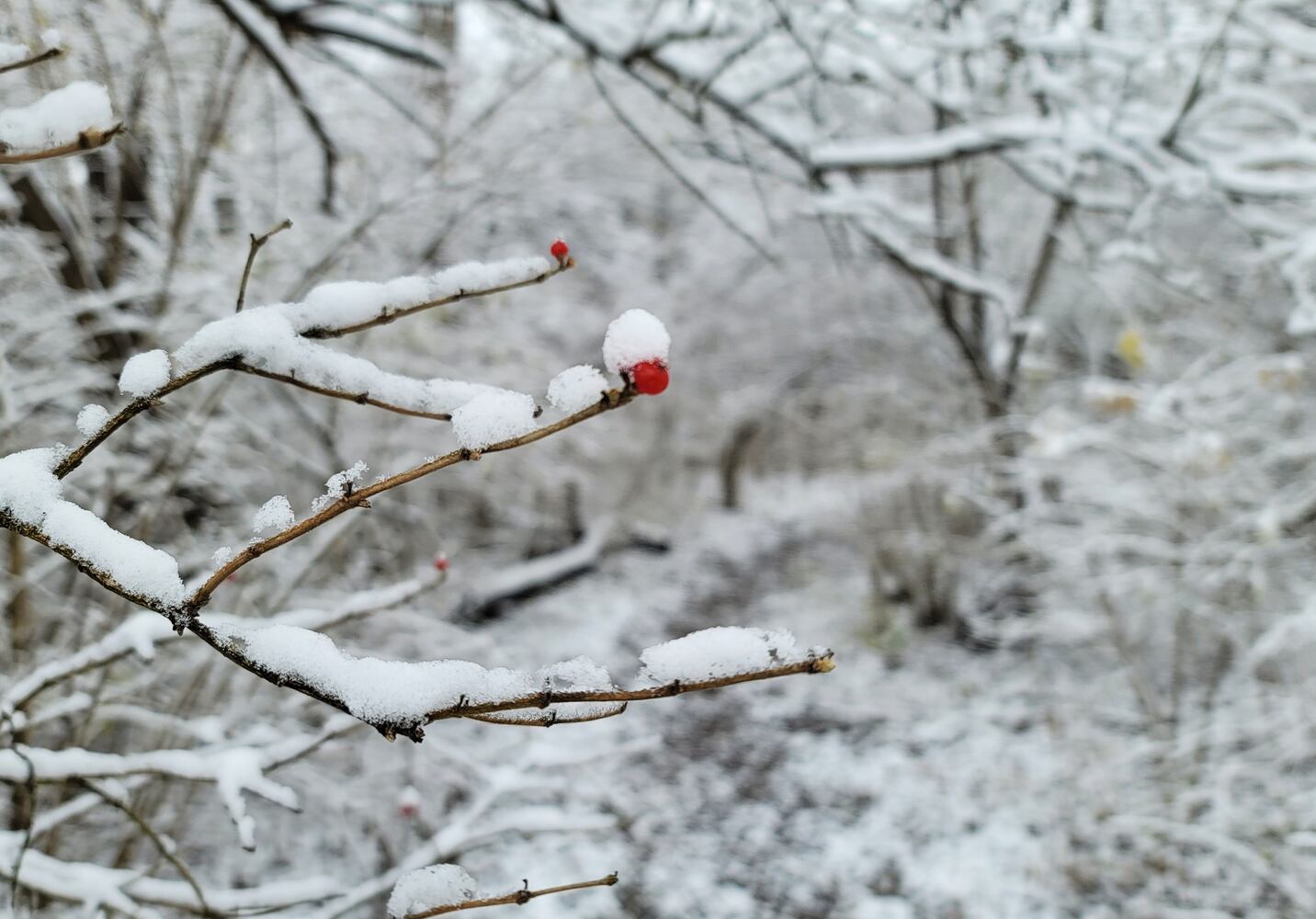 120120 butler snow