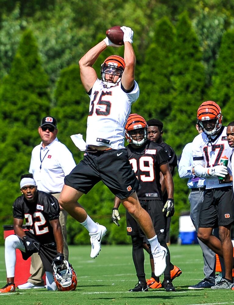 Bengals Training Camp Day 1