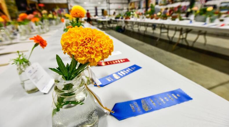 Scenes from the Butler County Fair. NICK GRAHAM/STAFF