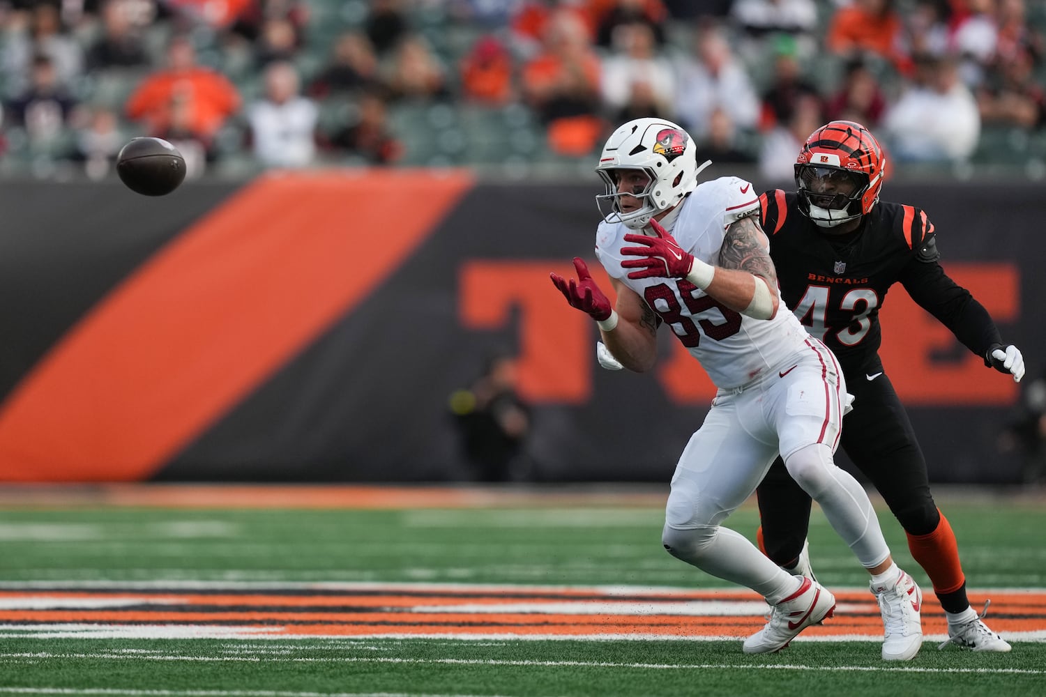 Cardinals Bengals Football