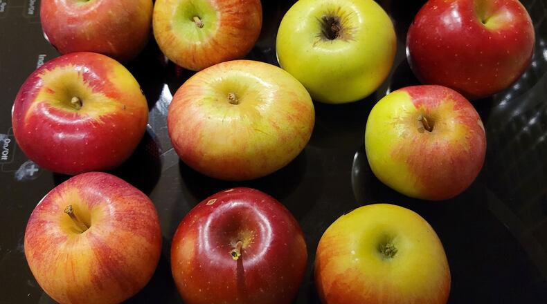 From left to right, first row: Scarlett Gala, Rome, Jonathan; Second row: Monroe, Northern Spy, Ida Red; Thirrd row Stayman Winesap, Red Delicious, Big Bronze, Red Rome; Fourth row: Golden Delicious, Melrose, Jonagold, Fuji. JIM RUBENSTEIN/CONTRIBUTED