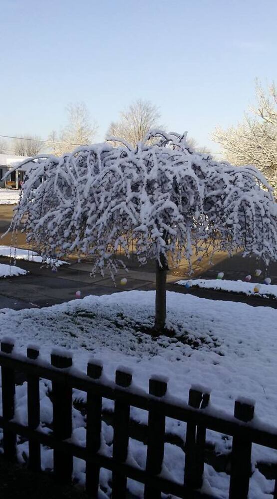 PHOTOS: Miami Valley gets a coating of snow  in April (User-submitted photo)