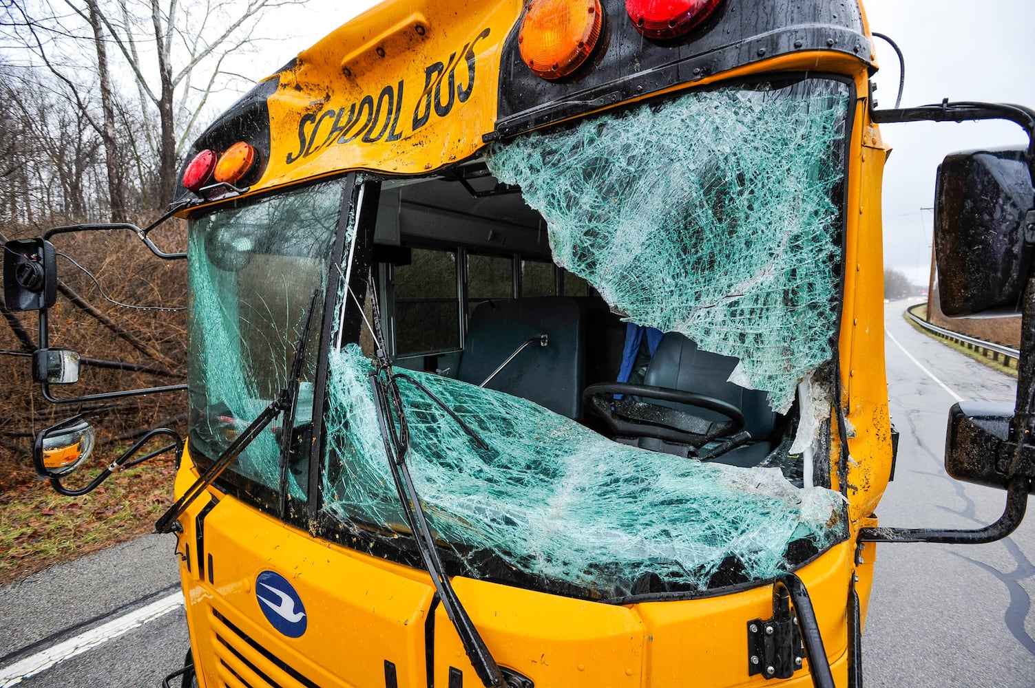 Driver injured when tree falls on bus