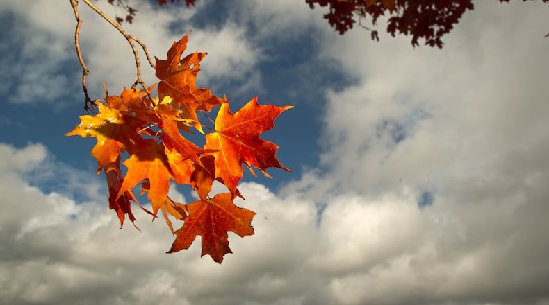 More sunshine Friday, with rain returning next week