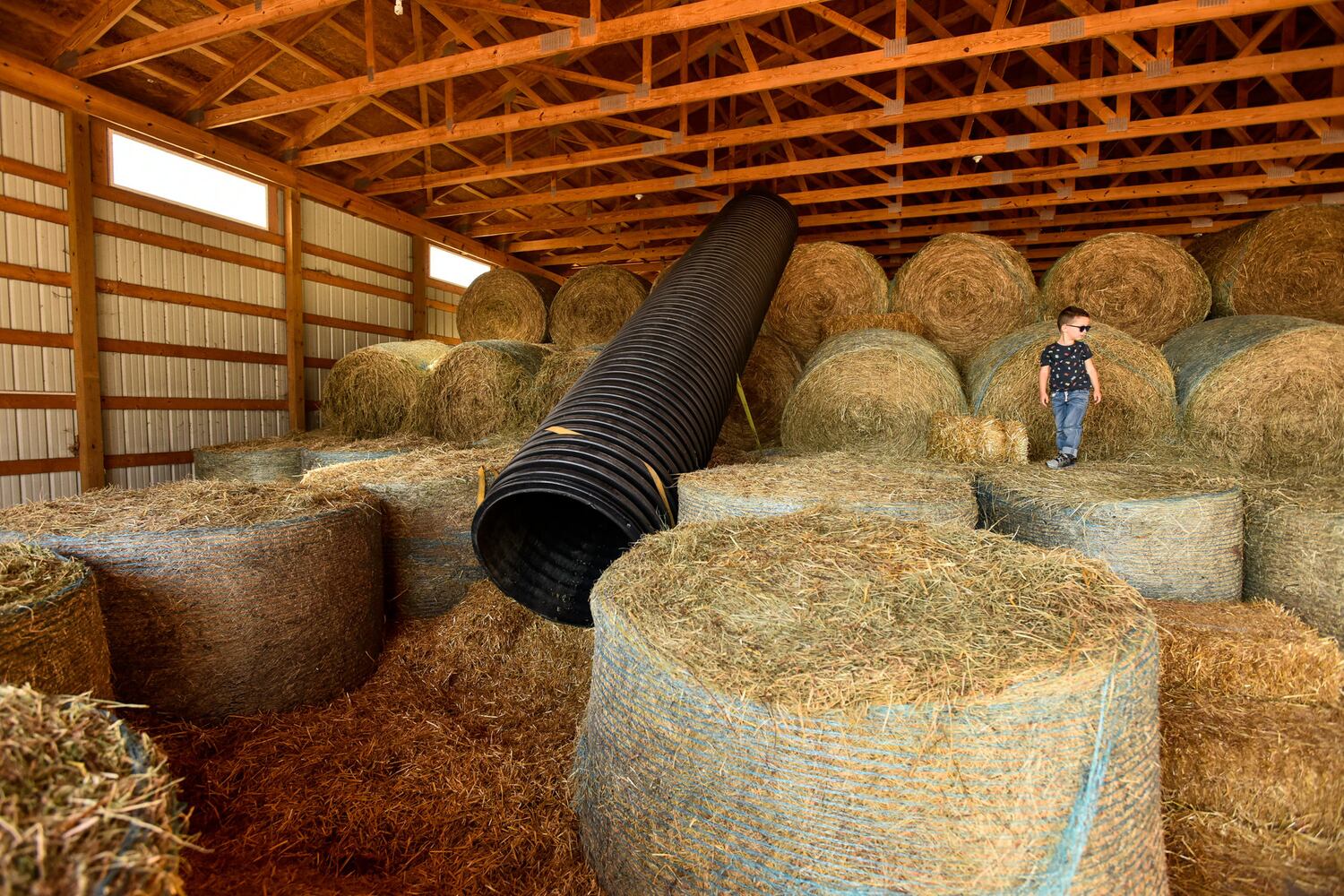 Jackson Family Farm offers visitors a chance to learn about farm life