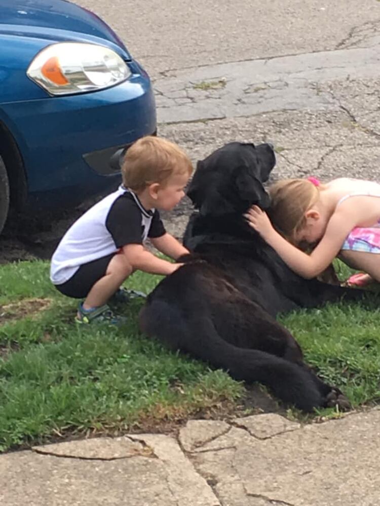 PHOTOS Readers respond to National Black Dog day post with pictures of their pets.
