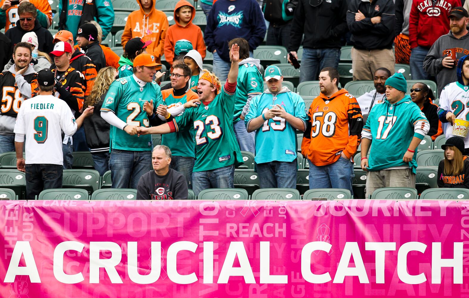 Bengals vs. Dolphins