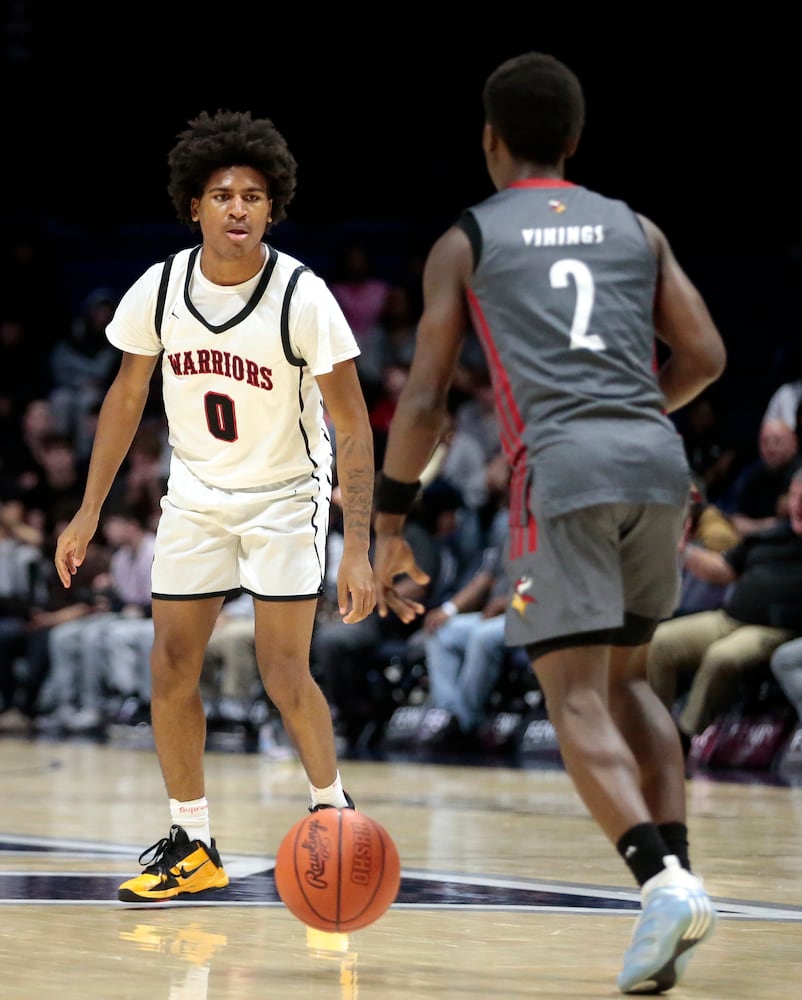 Wayne Princeton basketball