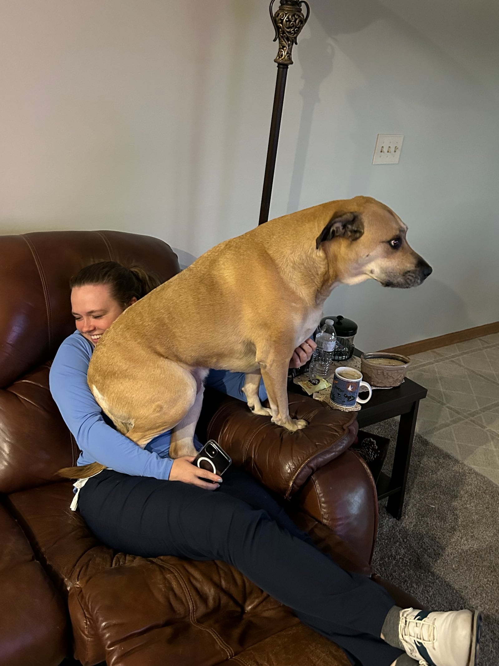 Despite weighing 90 pounds, Abe always considered himself a lap dog. SUBMITTED PHOTO