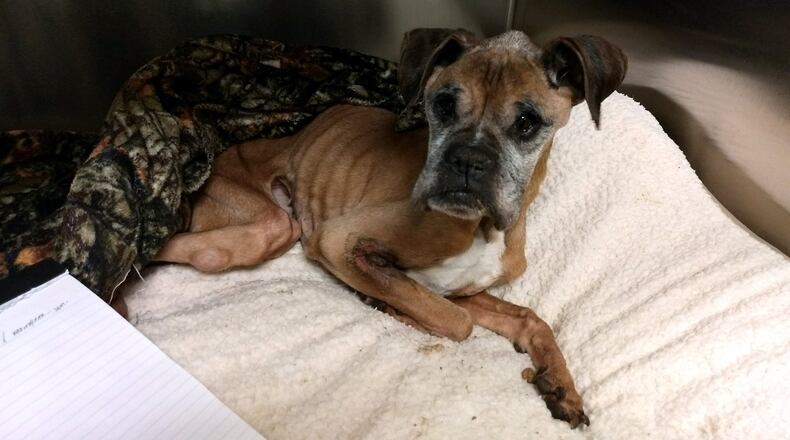 The Butler County Dog Warden & Humane Officers are reaching out to the community via Facebook to find the owners of two emaciated dogs. VIA DOG WARDEN FACEBOOK