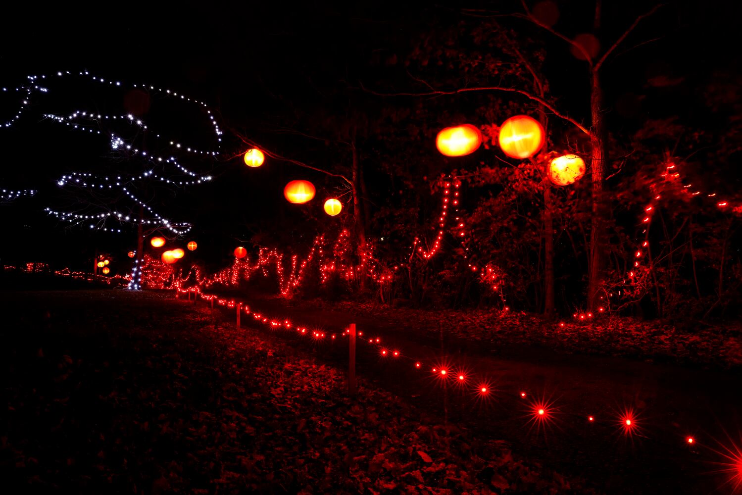 111622 Pyramid Hill lights