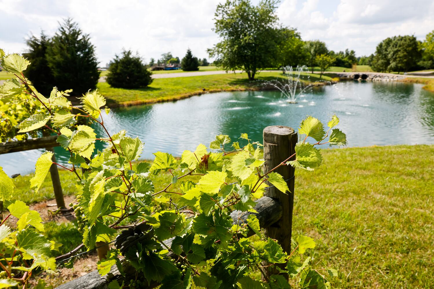 070623 seven mile winery