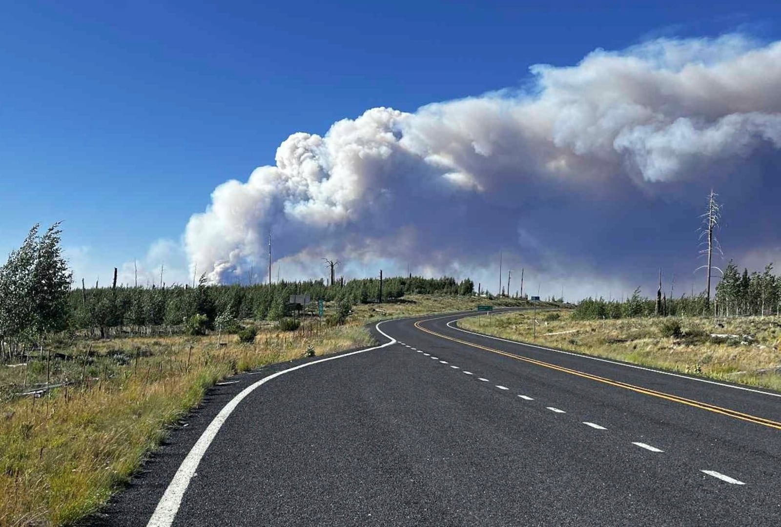 This photo provided by Abraham Freebairn shows wildfire smoke near the Grand Canyon's North Rim, in northern Arizona, on Thursday, July 10, 2025. (Abraham Freebairn via AP)