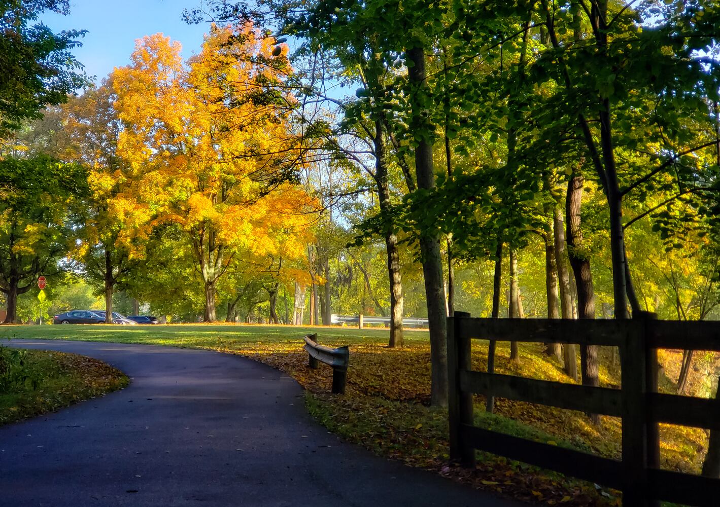 Fall colors October 2020