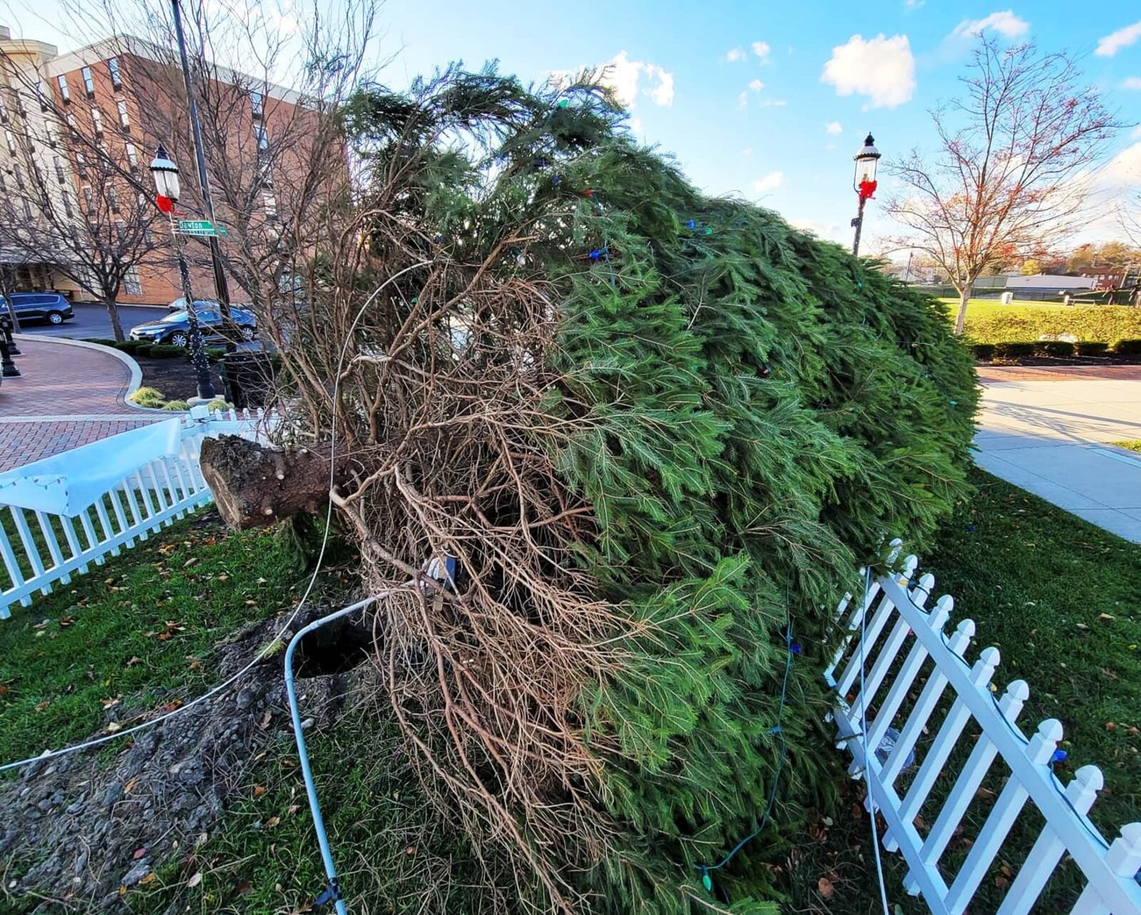 High winds caused issues across Butler County on Sunday, Nov. 15, 2020, including knocking over the recently installed Christmas tree at Marcum Park in Hamilton. NICK GRAHAM/STAFF