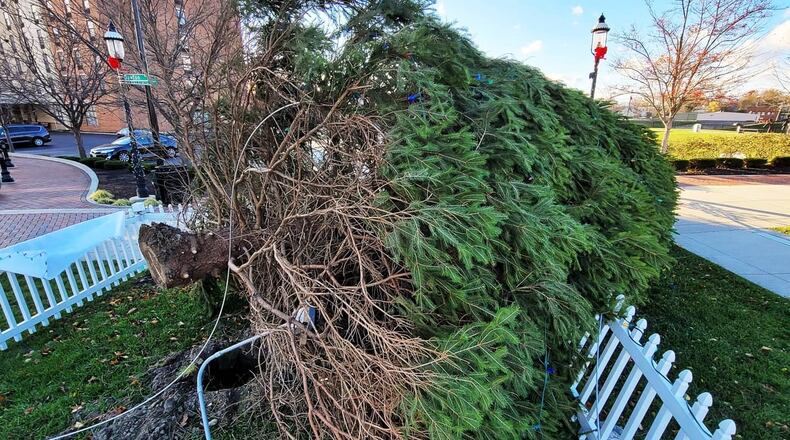 High winds caused issues across Butler County on Sunday, Nov. 15, 2020, including knocking over the recently installed Christmas tree at Marcum Park in Hamilton. NICK GRAHAM/STAFF