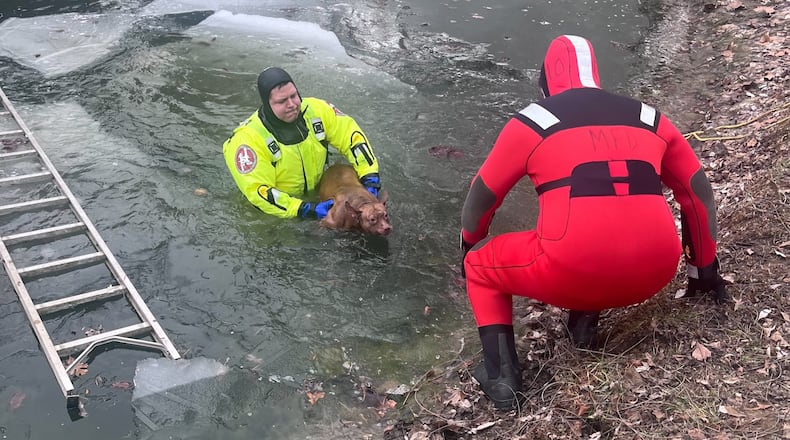 Middletown Division of Fire's ice rescue team saved a puppy from a pond behind a Dixie Highway home Thursday afternoon. CONTRIBUTED/MIDDLETOWN DIVISION OF FIRE