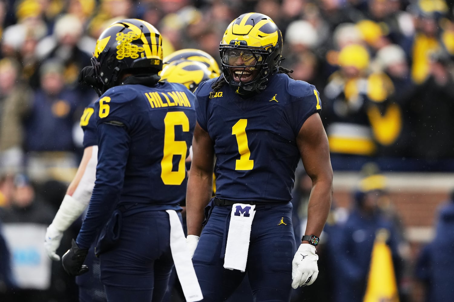 Ohio State Michigan Football