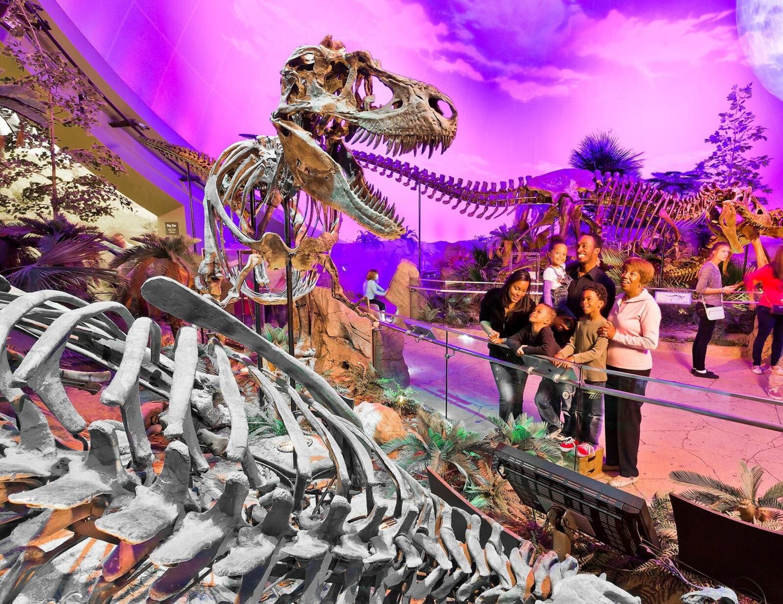The Indianapolis Children's Museum in Indiana offers a wide selection of different experiences and exhibits. CONTRIBUTED