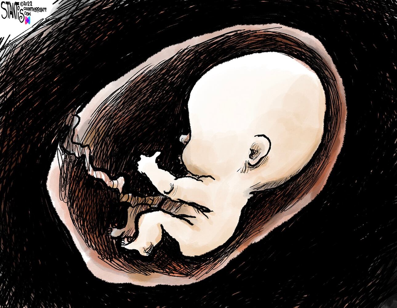 WEEK IN CARTOONS: Supreme Court leak, Roe v. Wade and more