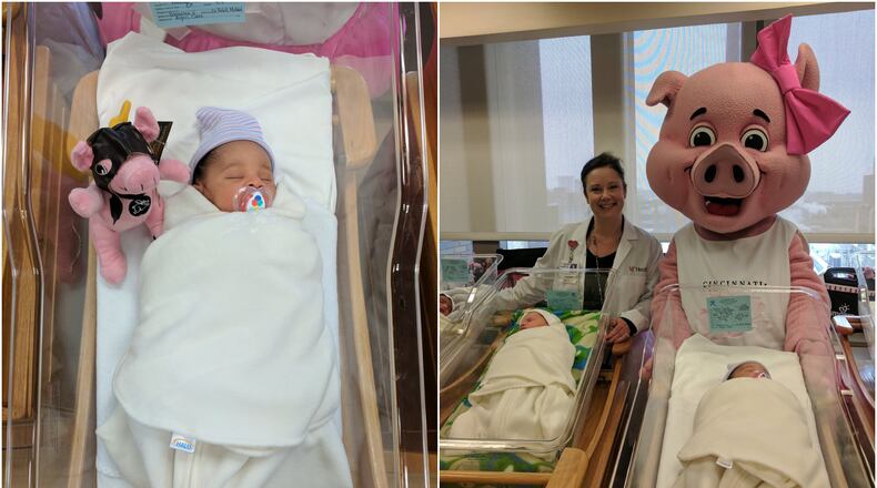 The Flying Pig mascot visited UC Medical Center’s labor and delivery department on Friday, May 5, to deliver welcome gifts to newborns and their families. CONTRIBUTED/UC HEALTH