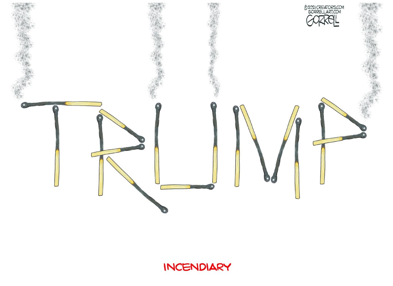 Week in cartoons: Georgia election, Capitol riots and more