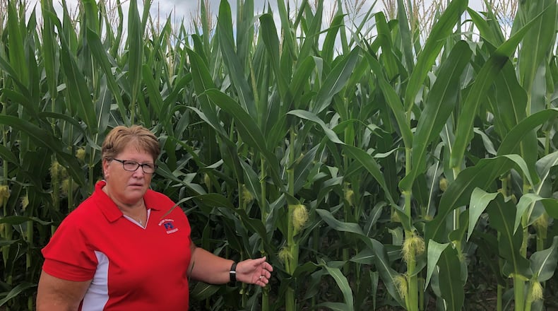 Gail Lierer, president of the Butler County Farm Bureau and also with the Ohio Corn Marketing Checkoff Board, who is 5'4", showed off the corn, which this week developed tassels that help pollenate the ears, at her Morgan Township farm. MIKE RUTLEDGE/STAFF