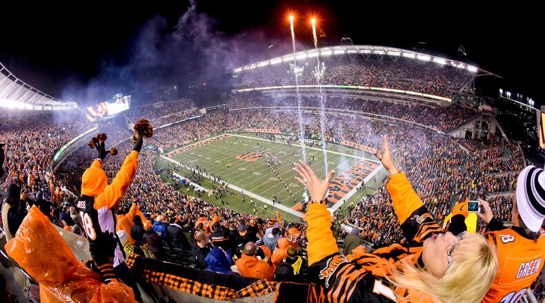Fans cheer on the Cincinnati Bengals at Paul Brown Stadium in Cincinnati. NICK GRAHAM/STAFF