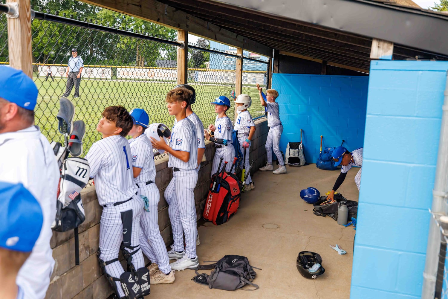 hamilton west side little league 2025