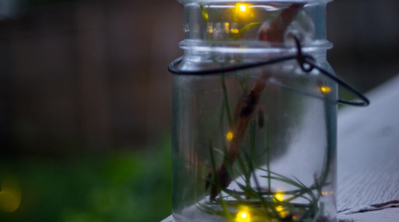 Light pollution, pesticide use, climate change and suburban developments are some of the contributing factors to firefly habitat losses. ISTOCK PHOTO
