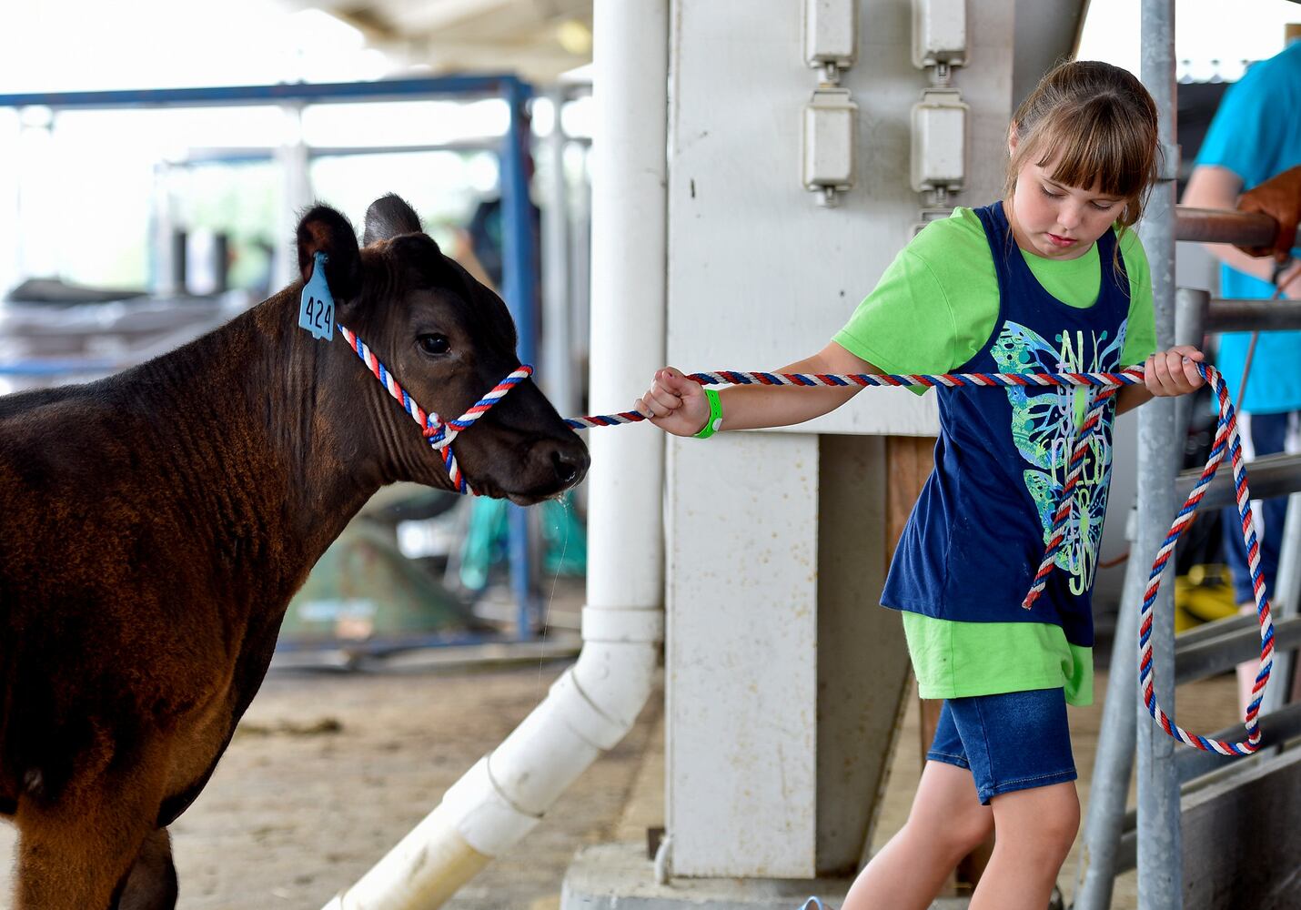 Warren County Fair 2015 Day 1