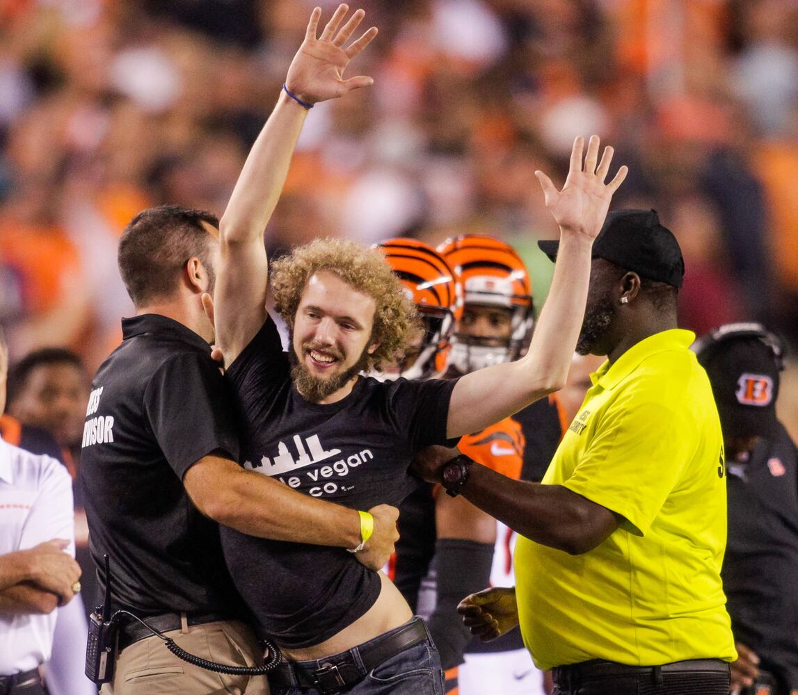 Bengals vs Ravens Football