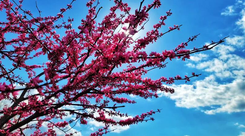 Spring Weather Butler County