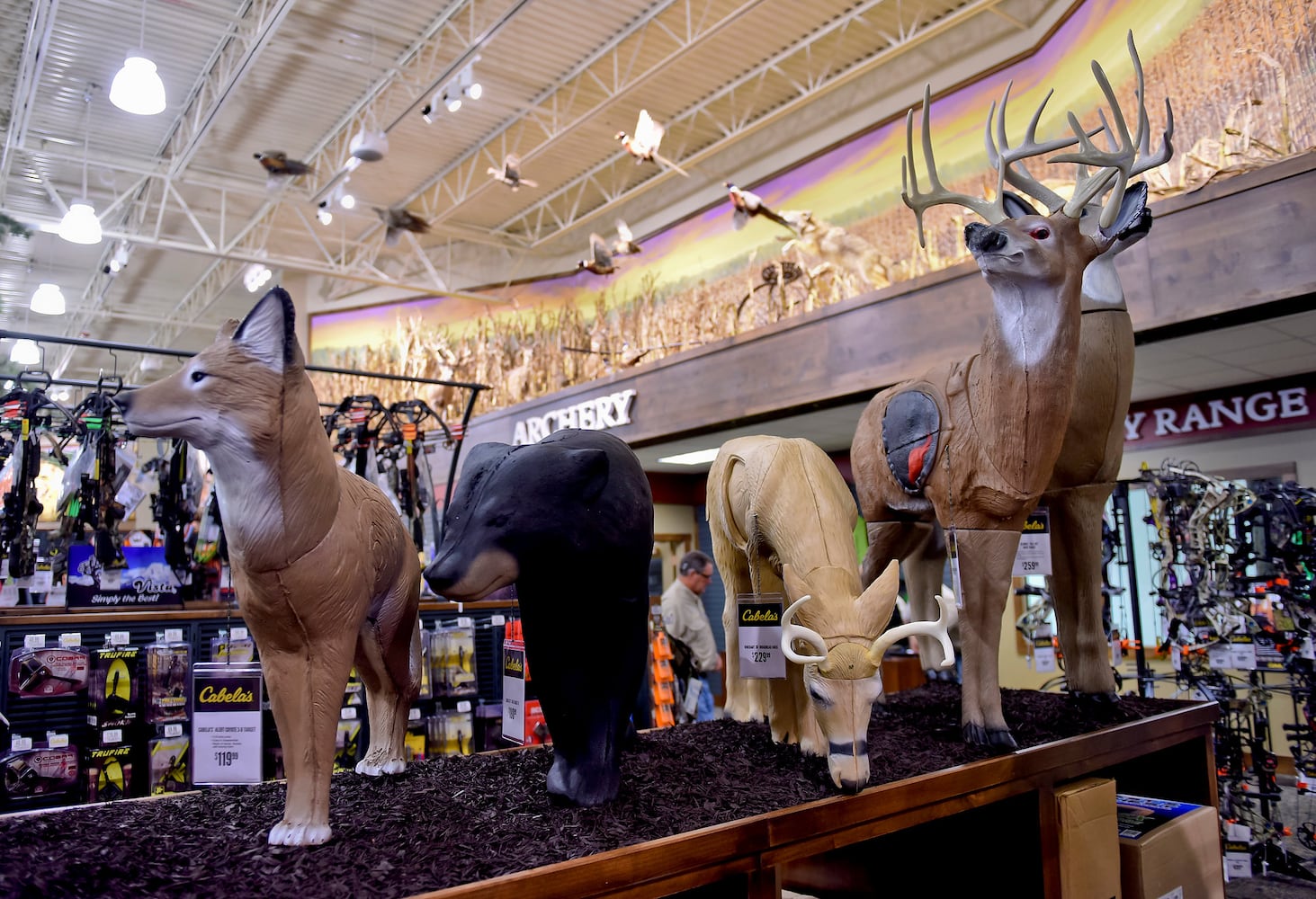 Cabelas tour