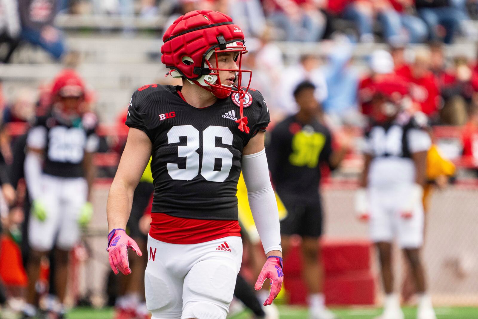 Nebraska defensive back Rowdy Bauer (36) walks onto the field during an NCAA college football practice Saturday, April 26, 2025, in Lincoln, Neb. (AP Photo/Dylan Widger)